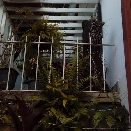 hostel MdeMarilia Nova Friburgo Exterior foto